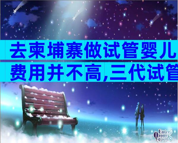 去柬埔寨做试管婴儿费用并不高,三代试管花费高吗