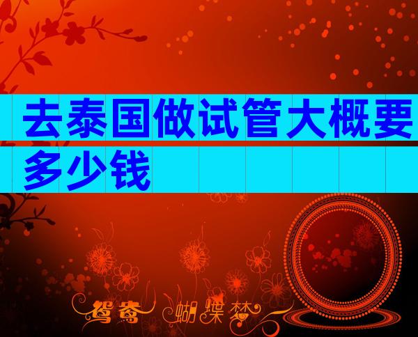 去泰国做试管大概要多少钱