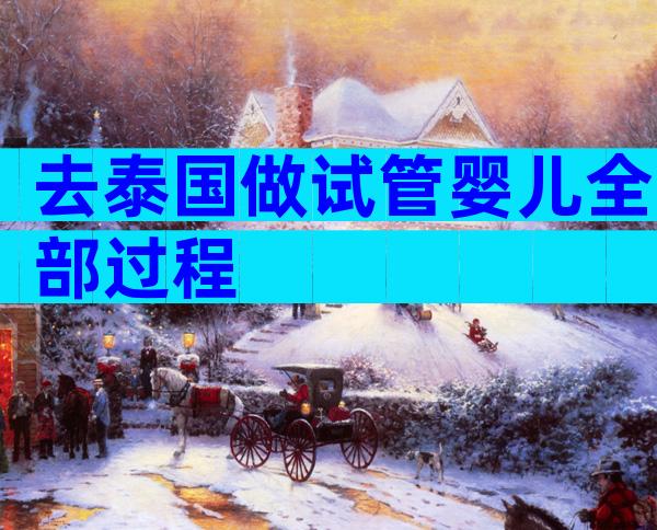 去泰国做试管婴儿全部过程