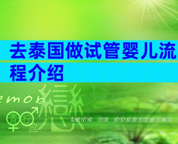 去泰国做试管婴儿流程介绍