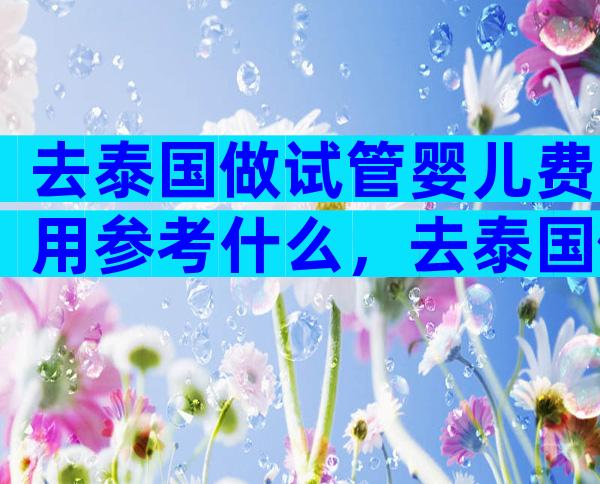 去泰国做试管婴儿费用参考什么，去泰国做试管婴儿需要多少费用