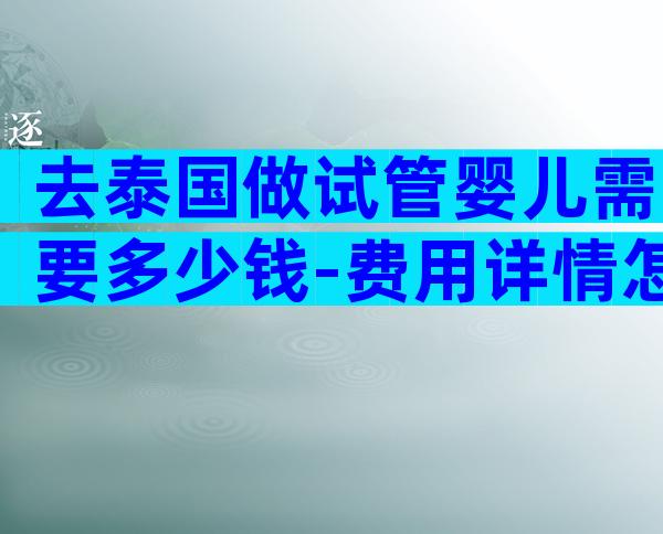 去泰国做试管婴儿需要多少钱-费用详情怎么节省成功率如何