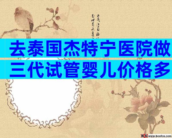 去泰国杰特宁医院做三代试管婴儿价格多少？