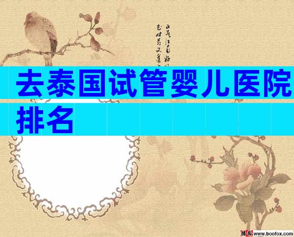 去泰国试管婴儿医院排名