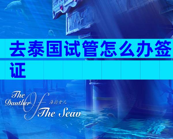 去泰国试管怎么办签证