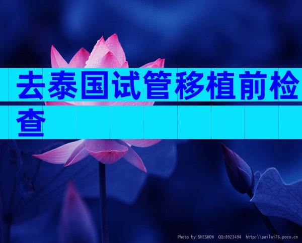 去泰国试管移植前检查