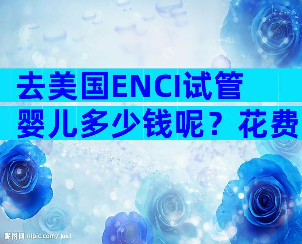 去美国ENCI试管婴儿多少钱呢？花费明细是什么？