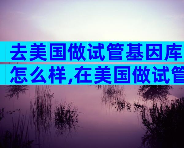 去美国做试管基因库怎么样,在美国做试管需要什么手续