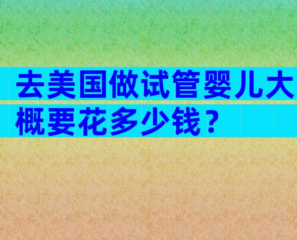 去美国做试管婴儿大概要花多少钱？