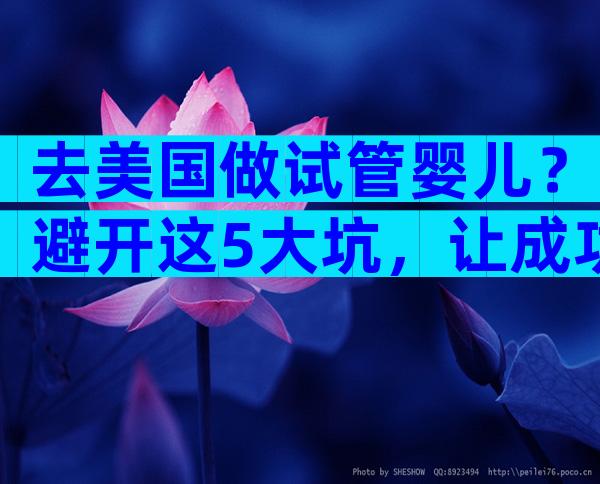 去美国做试管婴儿？避开这5大坑，让成功率飙升！