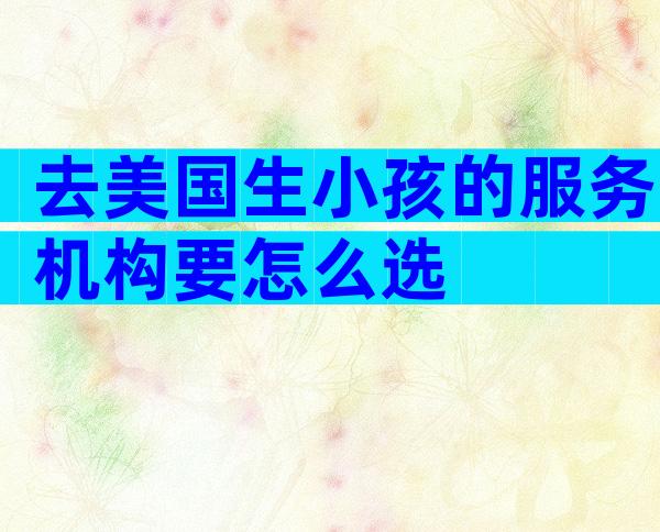 去美国生小孩的服务机构要怎么选