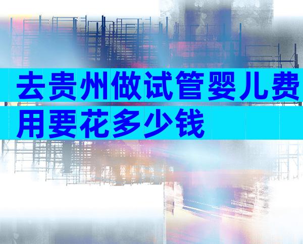 去贵州做试管婴儿费用要花多少钱