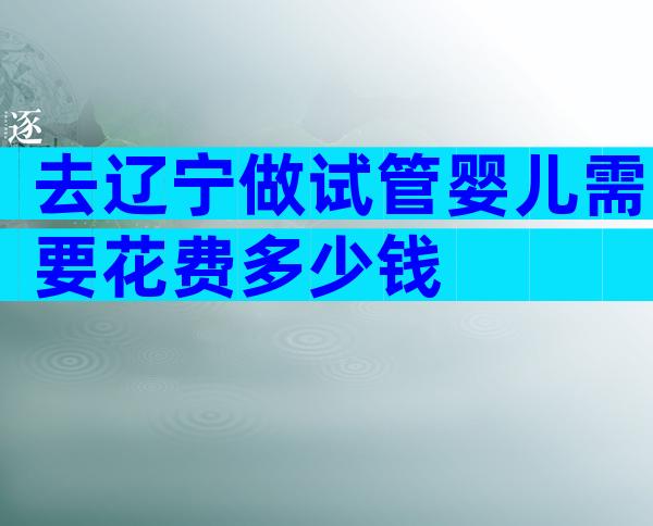 去辽宁做试管婴儿需要花费多少钱