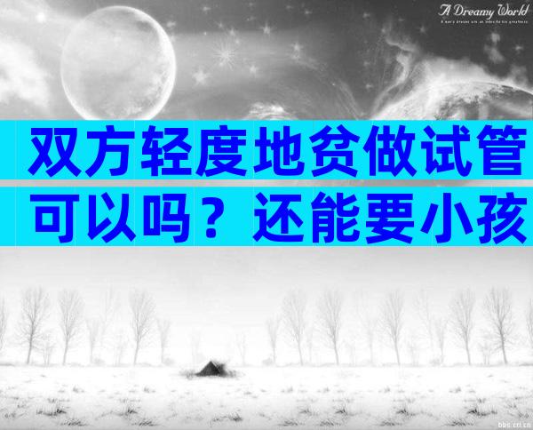 双方轻度地贫做试管可以吗？还能要小孩吗
