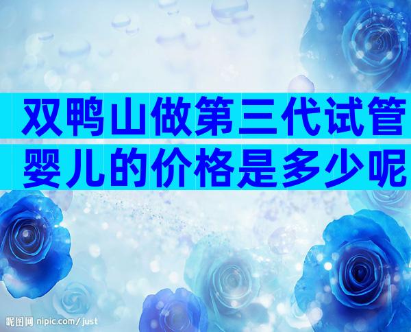 双鸭山做第三代试管婴儿的价格是多少呢？