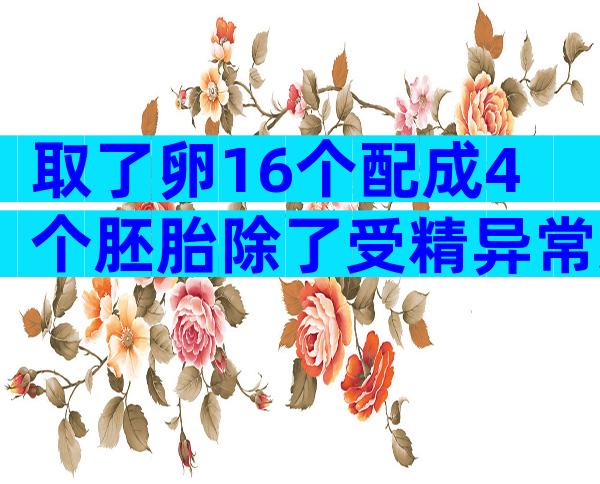 取了卵16个配成4个胚胎除了受精异常还有什么原因？