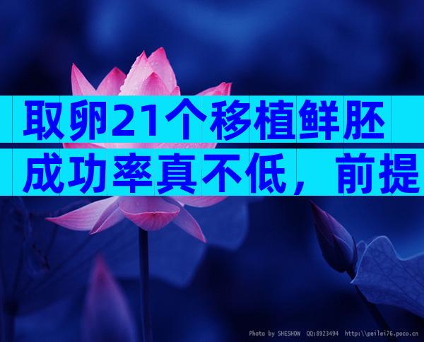 取卵21个移植鲜胚成功率真不低，前提：等卵巢恢复后再手术