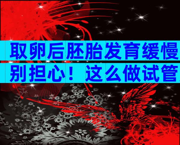 取卵后胚胎发育缓慢别担心！这么做试管成功率翻倍