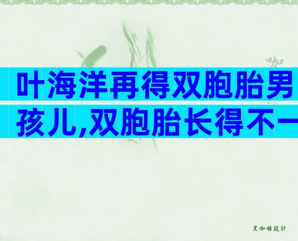 叶海洋再得双胞胎男孩儿,双胞胎长得不一样大小,在美国出生