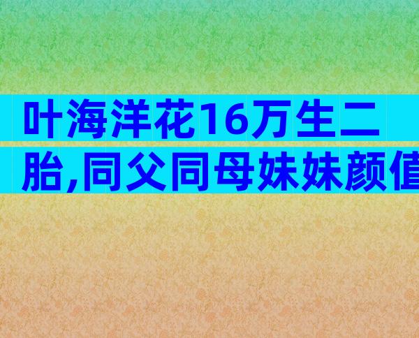 叶海洋花16万生二胎,同父同母妹妹颜值高,生父身份曝光引热议