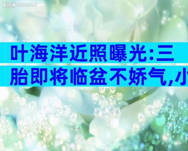 叶海洋近照曝光:三胎即将临盆不娇气,小腹微凸如发福的啤酒肚