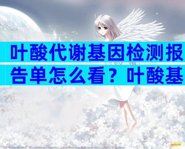 叶酸代谢基因检测报告单怎么看？叶酸基因检测报告单CT
