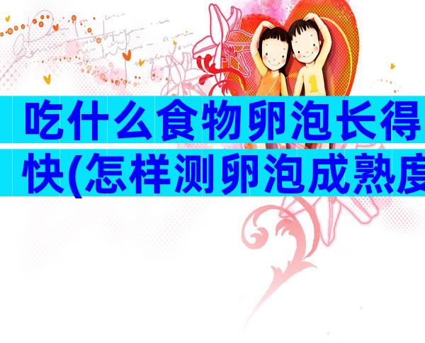 吃什么食物卵泡长得快(怎样测卵泡成熟度？)