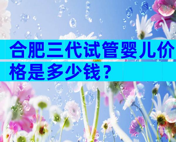 合肥三代试管婴儿价格是多少钱？