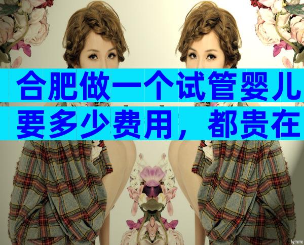 合肥做一个试管婴儿要多少费用，都贵在哪里？