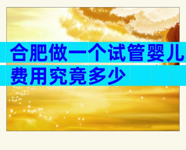 合肥做一个试管婴儿费用究竟多少