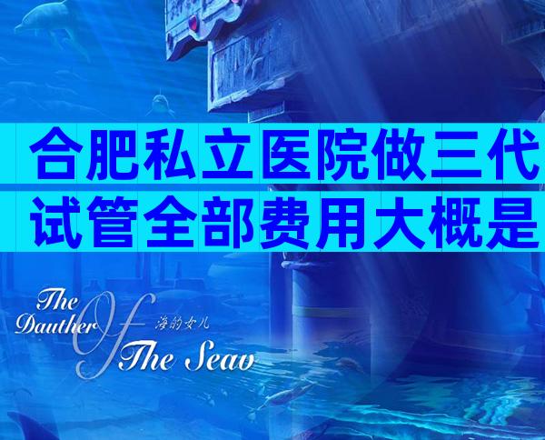 合肥私立医院做三代试管全部费用大概是多少