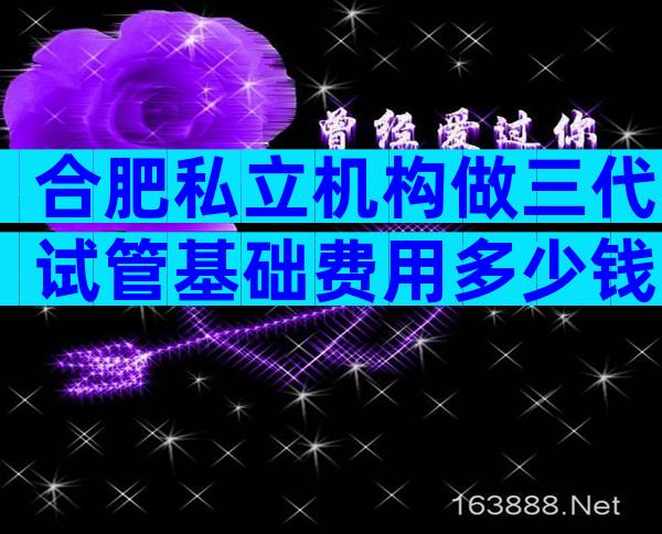 合肥私立机构做三代试管基础费用多少钱