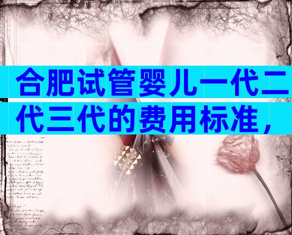 合肥试管婴儿一代二代三代的费用标准，有哪些医院最正规？