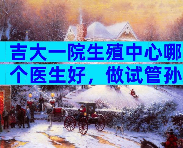 吉大一院生殖中心哪个医生好，做试管孙文涛和杨玉兰哪个好。