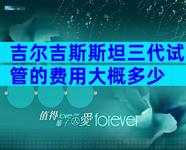 吉尔吉斯斯坦三代试管的费用大概多少