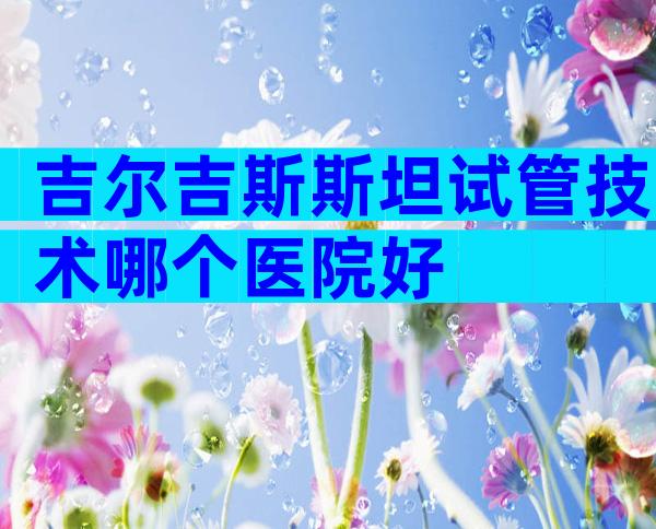 吉尔吉斯斯坦试管技术哪个医院好