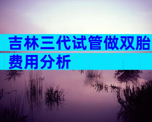 吉林三代试管做双胎费用分析