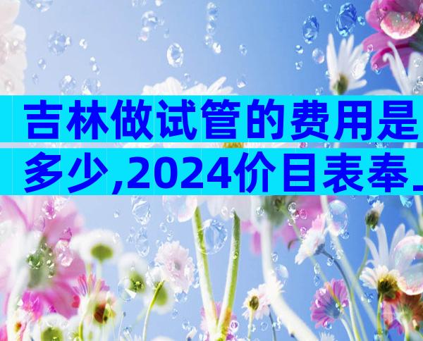 吉林做试管的费用是多少,2024价目表奉上