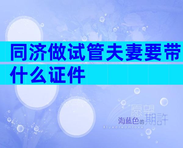 同济做试管夫妻要带什么证件