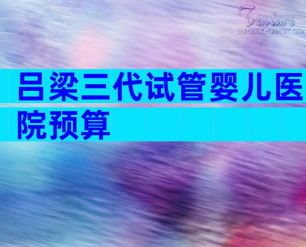 吕梁三代试管婴儿医院预算