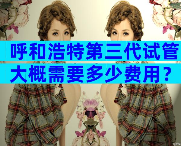 呼和浩特第三代试管大概需要多少费用？简述做试管的费用及流程