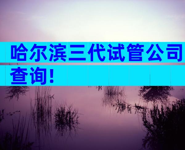 哈尔滨三代试管公司查询!