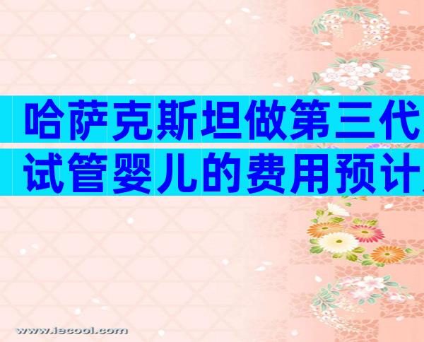 哈萨克斯坦做第三代试管婴儿的费用预计是多少？