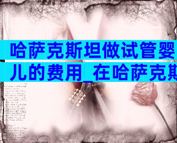哈萨克斯坦做试管婴儿的费用_在哈萨克斯坦做试管婴儿大概费用