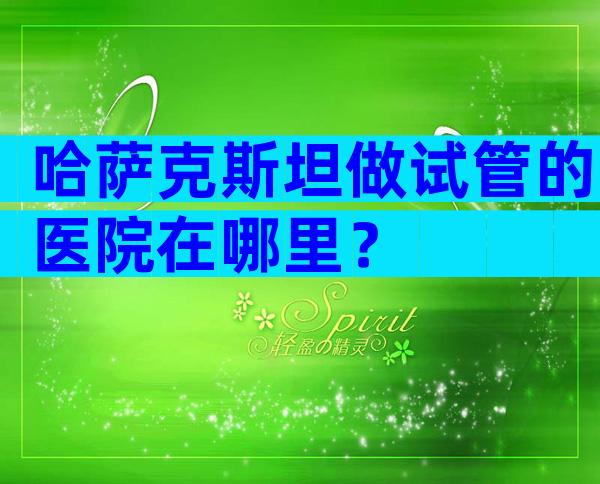 哈萨克斯坦做试管的医院在哪里？