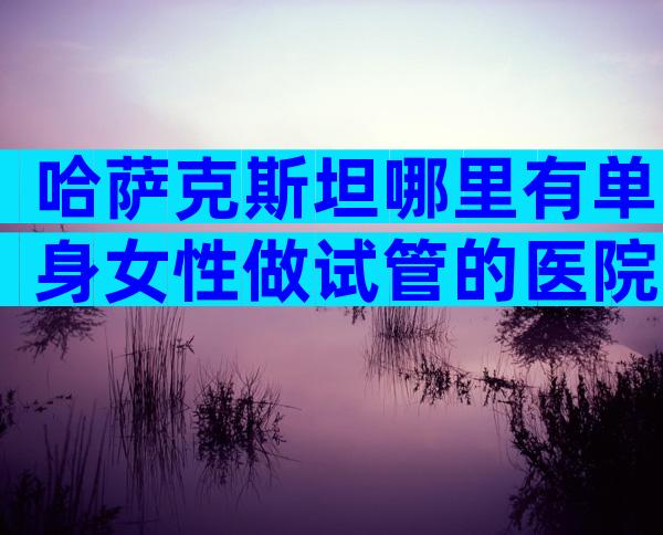 哈萨克斯坦哪里有单身女性做试管的医院