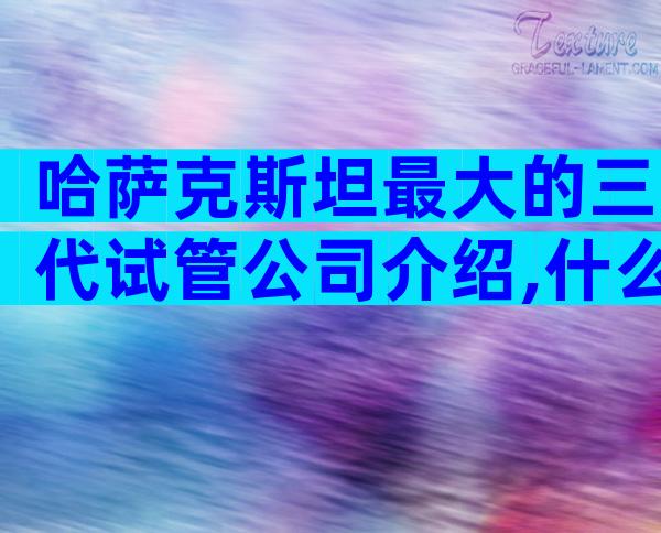 哈萨克斯坦最大的三代试管公司介绍,什么因素会影响