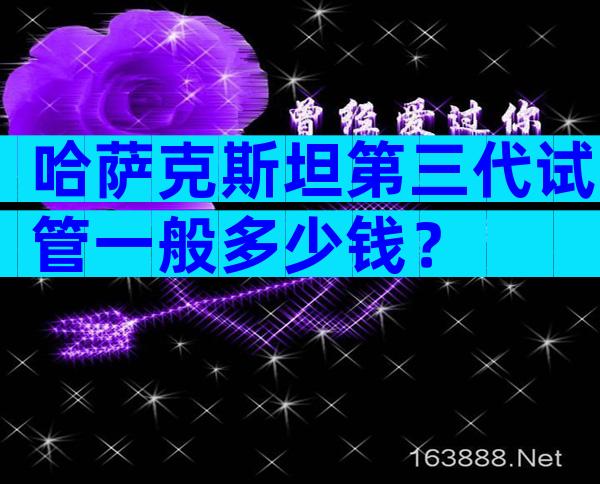 哈萨克斯坦第三代试管一般多少钱？