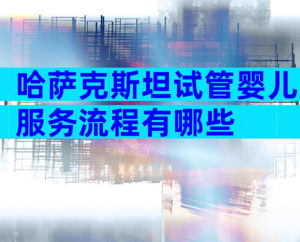 哈萨克斯坦试管婴儿服务流程有哪些