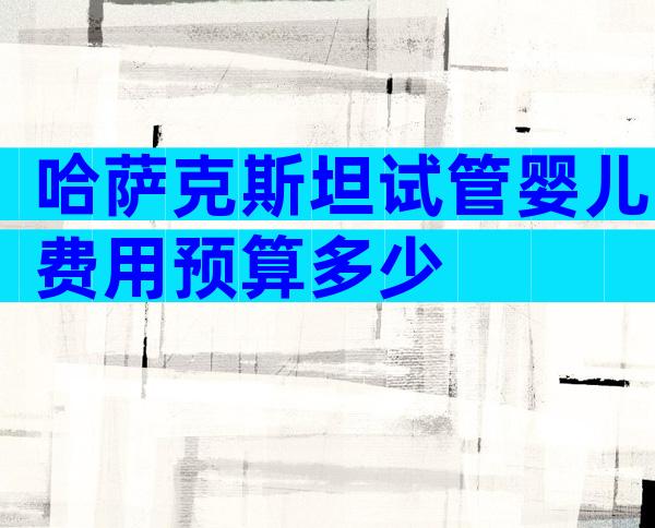哈萨克斯坦试管婴儿费用预算多少